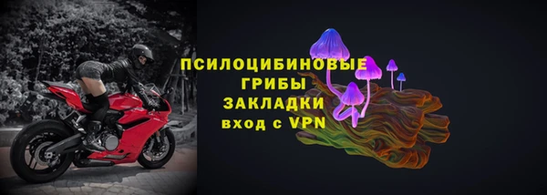 mix Богородицк