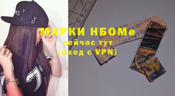 mix Богородицк